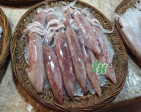 新鮮魷魚怎么處理？魷魚怎么清洗？