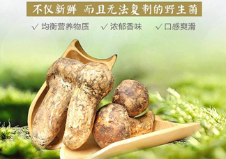 新鮮松茸怎么挑選？干松茸如何挑選