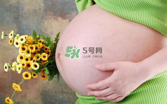 為什么孕婦的肚子有尖有圓？孕婦肚子尖圓對照圖