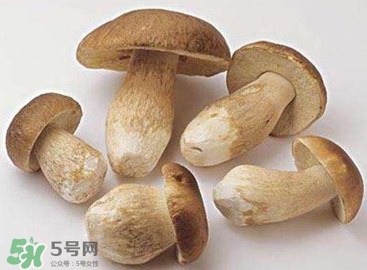 牛肝菌要泡發(fā)多久？牛肝菌怎么清洗