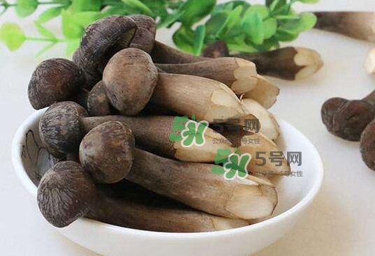 雞樅菌多少錢(qián)一斤？干雞樅菌多少錢(qián)一斤