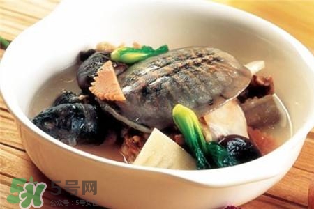 產(chǎn)婦能吃甲魚嗎？產(chǎn)婦能吃甲魚湯嗎？