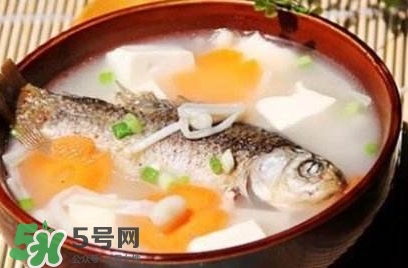 鯽魚湯的做法孕婦喝 孕婦鯽魚湯做法大全