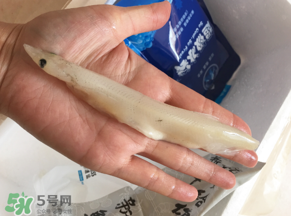 大銀魚(yú)多少錢(qián)一斤？大銀魚(yú)怎么洗？