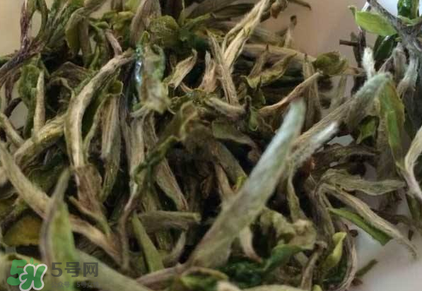 白茶需要洗茶嗎？白茶是洗還是不洗？