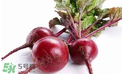 甜菜根是蘿卜嗎？甜菜根是什么菜