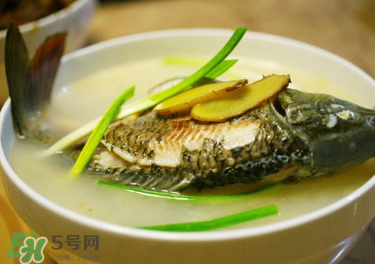 鯉魚湯怎么做好吃？鯉魚湯里面可以放什么？