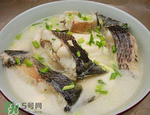 黑魚湯對傷口有好處嗎？黑魚湯的做法術(shù)后恢復(fù)