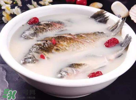 鯽魚湯里可以放什么菜最好？鯽魚燉湯放什么菜？