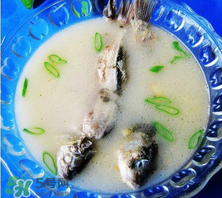 鯽魚湯可以放牛奶嗎？牛奶鯽魚湯的做法