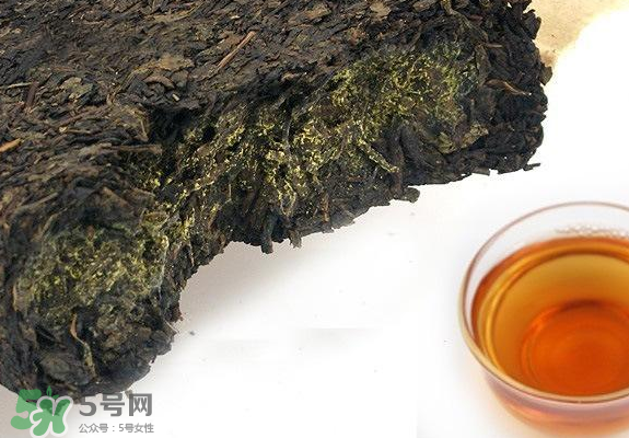 茯茶是熱性還是涼性？茯茶是不是放越久越好？