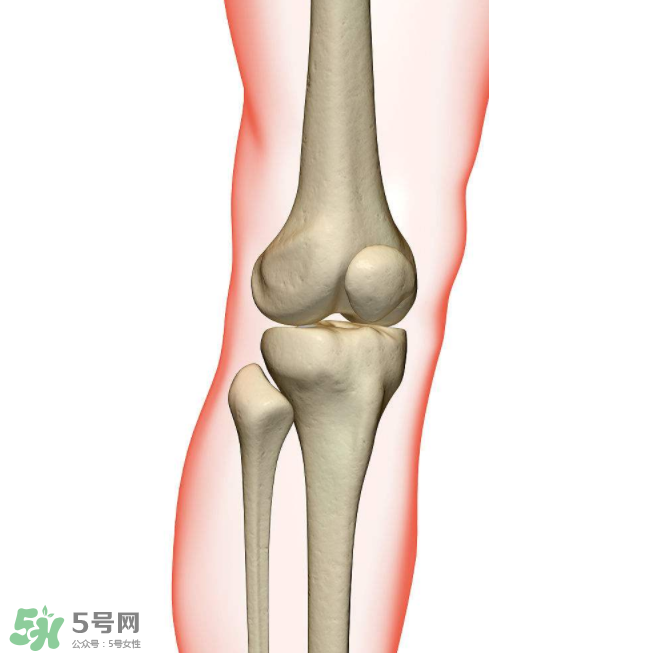 風(fēng)濕不治療可以治愈嗎？早期風(fēng)濕能自愈嗎？