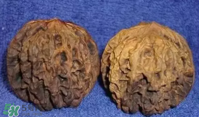 核桃上的陰皮是什么？核桃對血管的作用