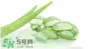 蘆薈怎么吃？蘆薈番茄湯的做法 