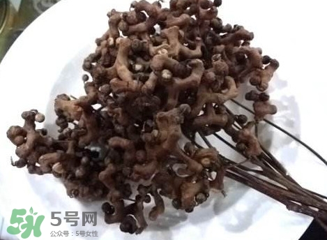 拐棗可以嫁接嗎？拐棗是哪里的特產(chǎn)