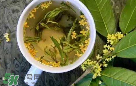 桂花茶怎么泡好喝？桂花茶怎么制作？