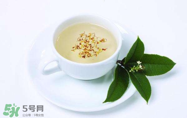 桂花茶怎么泡？桂花茶泡水喝的禁忌 