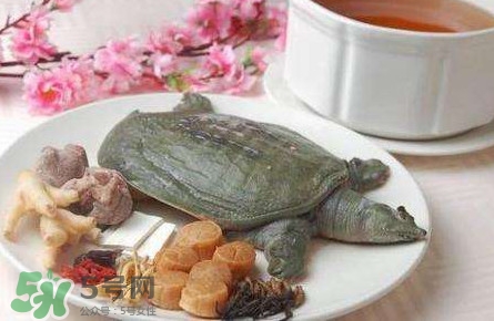 腳魚是什么？腳魚和烏龜?shù)膮^(qū)別