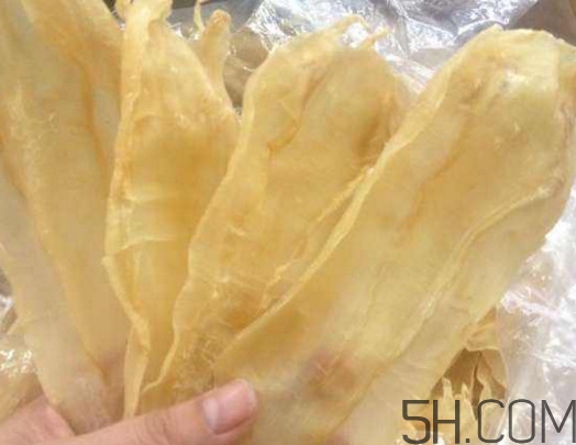 魚膠和花膠有什么區(qū)別？魚膠是魚的哪個(gè)部位