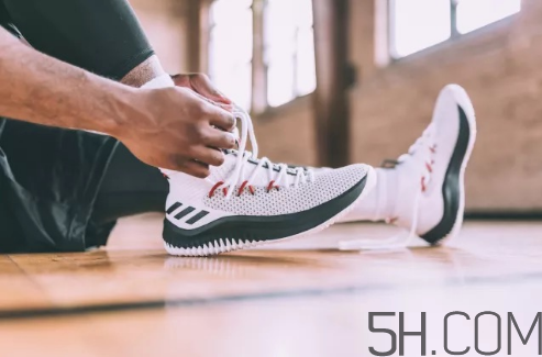 adidas dame 4多少錢？阿迪達(dá)斯利拉德四代上腳效果