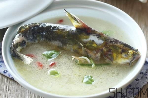 黃骨魚(yú)湯下奶嗎？黃骨魚(yú)湯的做法 