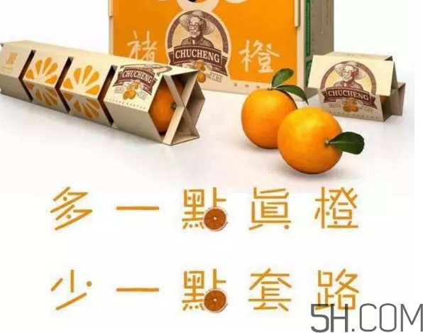 褚橙真的那么好吃嗎？褚橙哪里可以買到