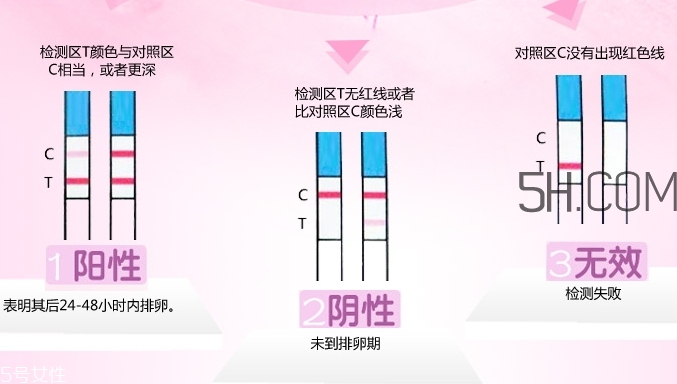 排卵試紙?jiān)趺从胈排卵試紙使用方法步驟