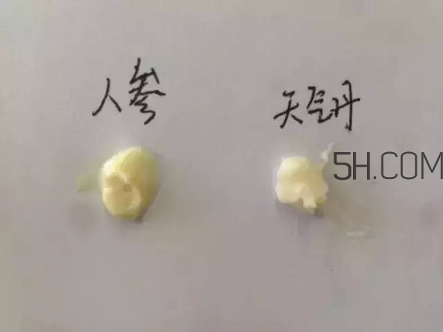 雪花秀人參面霜和whoo后天氣丹面霜哪個(gè)好?