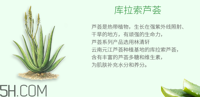 林清軒蘆薈面膜泥怎么樣？林清軒蘆薈面膜泥測評