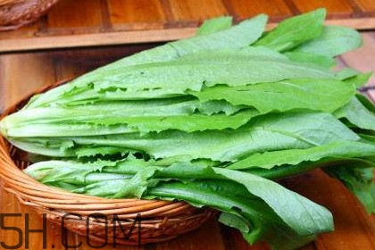 西紅柿和油麥菜能一起吃嗎？油麥菜能包餃子嗎