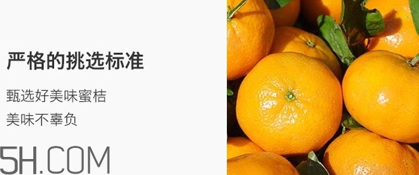 前衛(wèi)蜜橘營養(yǎng)價值 前衛(wèi)桔功效作用