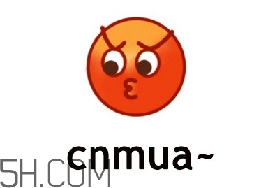 cnmua是什么意思？cnmua無(wú)水印表情包