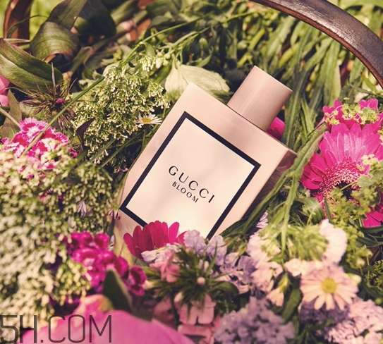 gucci bloom香水好聞嗎？gucci bloom香水香評