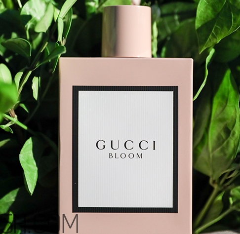 gucci bloom香水多少錢(qián)？gucci bloom香水專(zhuān)柜價(jià)格