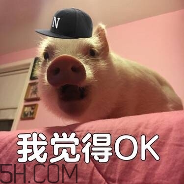 ojbk是什么意思？ojbk表情包