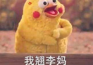 翹李媽什么意思？我翹李媽表情包