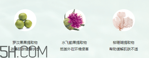 玫琳凱高水份面膜霜