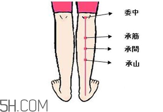 小腿抽筋可以跑步嗎？小腿抽筋可以拔火罐嗎