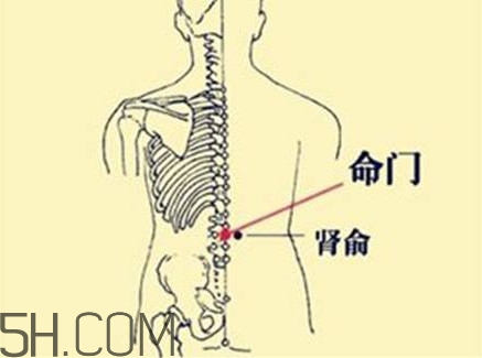 小腿抽筋可以跑步嗎？小腿抽筋可以拔火罐嗎