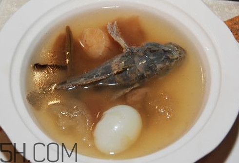 松江鱸魚(yú)哪里有？松江鱸魚(yú)什么季節(jié)吃最好