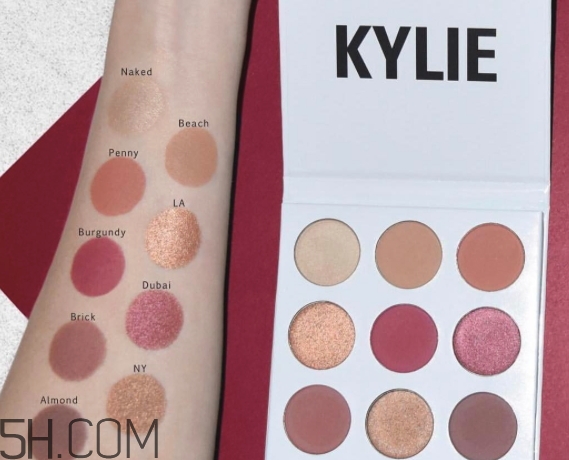 kylie the burgundy9色眼影盤色號(hào)_試色圖