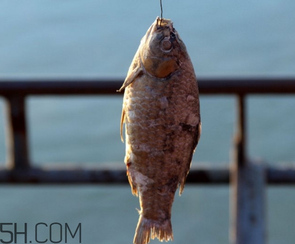 咸魚什么人不能吃？怎樣去除咸魚的咸