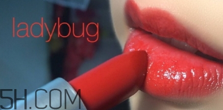 mac lady bug掉色嗎？mac ladybug真假辨別