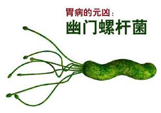 胃幽門螺旋菌陽(yáng)性怎么辦？幽門螺桿菌能徹底治愈嗎