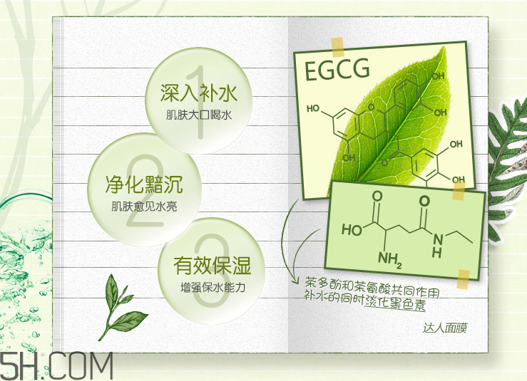 韓后達(dá)人京都玉露補(bǔ)水面膜