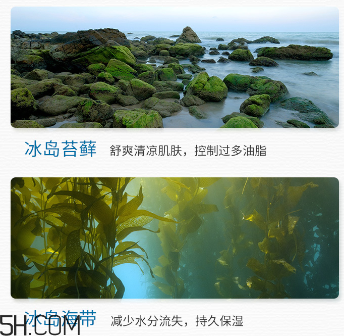 得鮮冰島補(bǔ)水保濕面霜