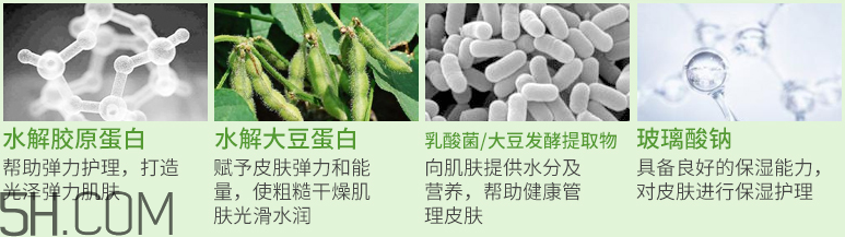 AHC PCG膠原蛋白面膜