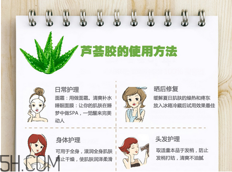 蘆薈膠的功效和作用有哪些？教你蘆薈膠的正確使用方法