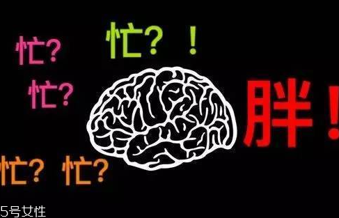 久坐不動上班族如何減肥？越努力工作的人越容易發(fā)胖