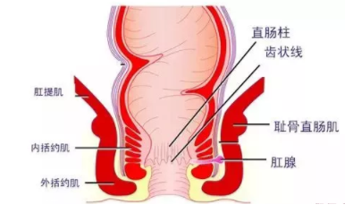 肛瘺非手術(shù)治療才可以嗎？手術(shù)是治療的關(guān)鍵途徑